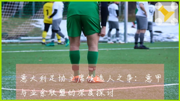 意大利足协主席候选人之争：意甲与业余联盟的深度探讨